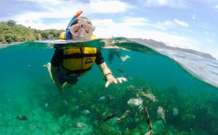 Te Whanganui A Hei Marine Reserve Cathedral Cove Mark Jones Glass Bottom Boat Whitianga